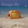GW16325-50 = Scene on Es Trenc beach ( Platja de Trenc) in SE Mallorca ( girl in yellow bikini doing acrobatics on large beach ball by waters edge ), Baleares, Spain.