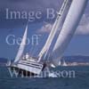 GW19355-50 = Scene ( Celestyna (No.14) = Contest 55CS + other Contest boats ) during the 2004 inaugural Mediterranean Contest Sailing Regatta - hosted by Fine Yachts and Real Club Nautico Palma and held in the Bay of Palma de Mallorca, Balearic Islands, Spain. 