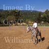 Horse riding school near Palma.