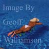 GW25245-50 = Topless young lady floating on a lilo in the swimming pool of a country finca, Mallorca, Balearic Islands, Spain. 